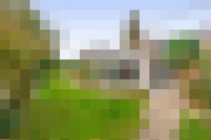 Vossenweg 5 Liessel thumbnail 42