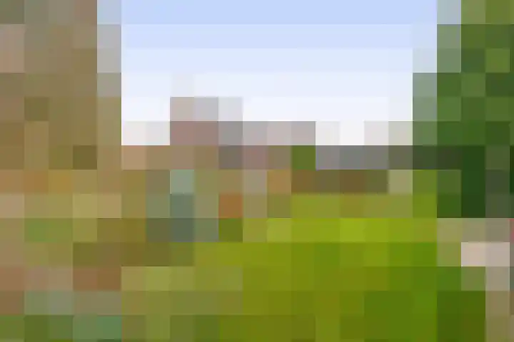 Vossenweg 5 Liessel thumbnail 43