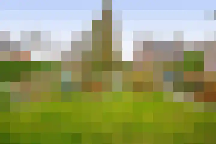 Vossenweg 5 Liessel thumbnail 44
