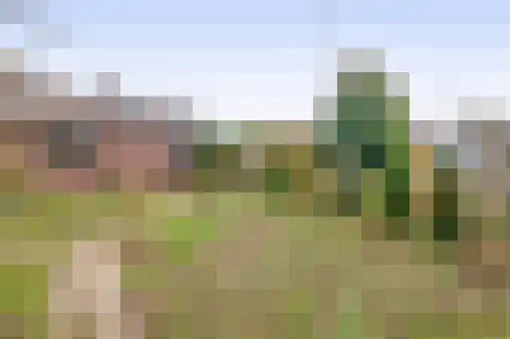 Vossenweg 5 Liessel thumbnail 45