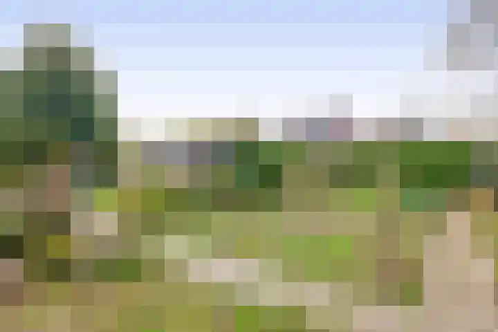 Vossenweg 5 Liessel thumbnail 46