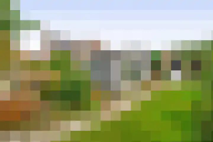 Vossenweg 5 Liessel thumbnail 49