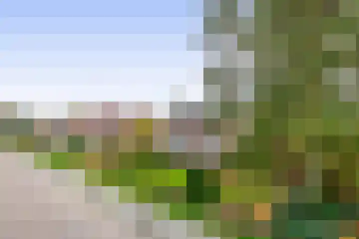 Vossenweg 5 Liessel thumbnail 50