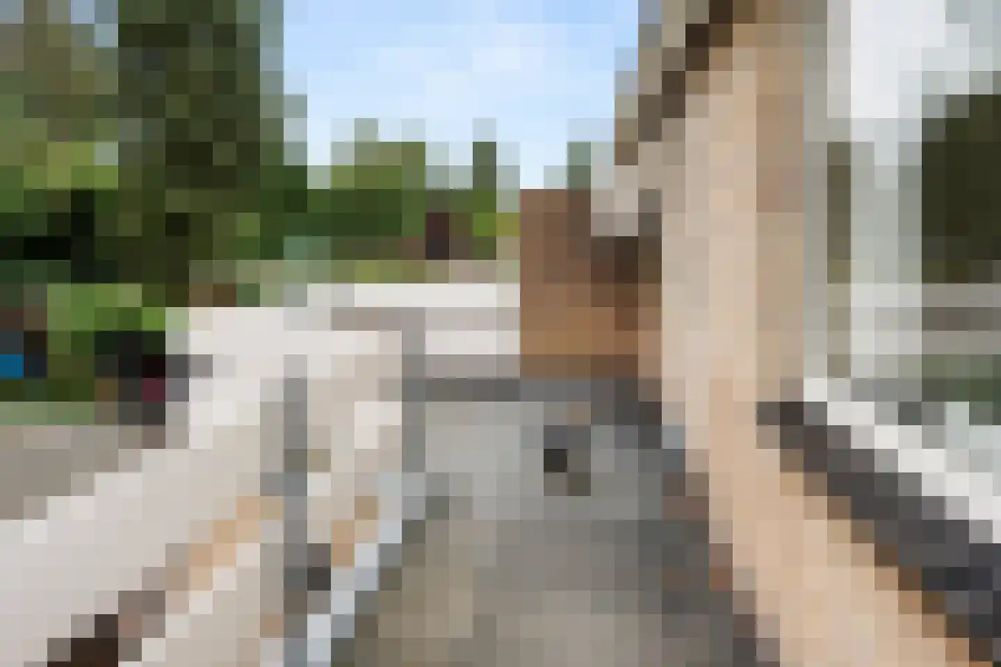Vossenweg 68 Bennekom thumbnail 43