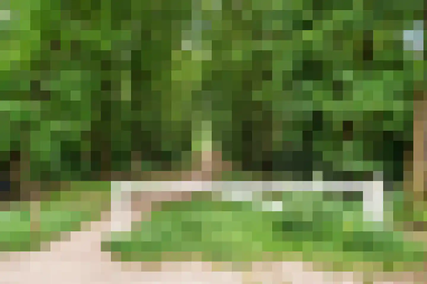 Vossenweg 68 Bennekom thumbnail 7