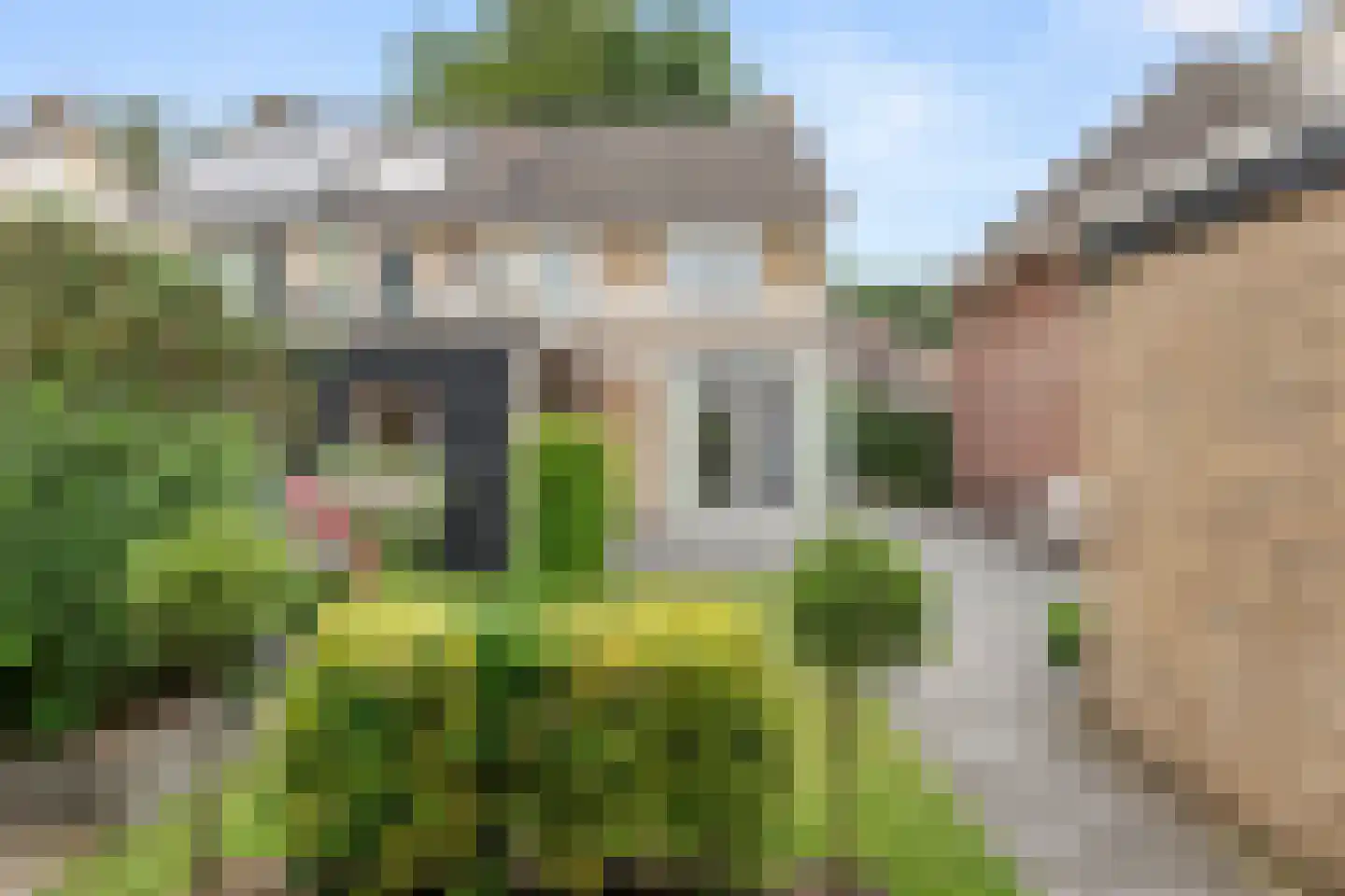 Vossenweg 68 Bennekom thumbnail 8