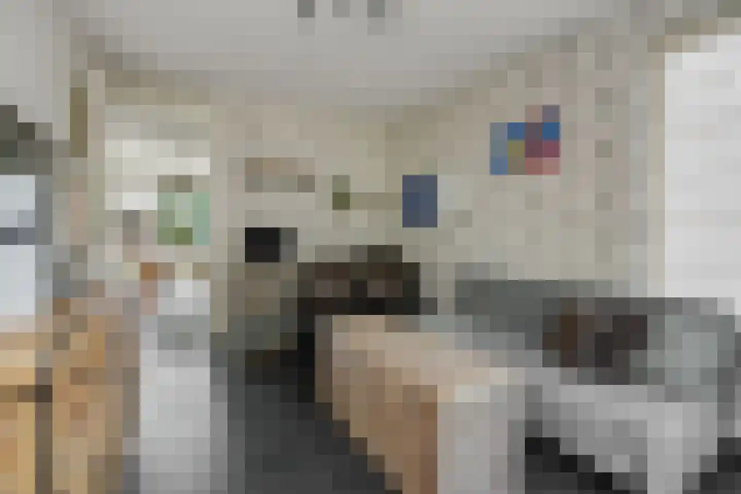 Vossenweg 7 Liessel thumbnail 14