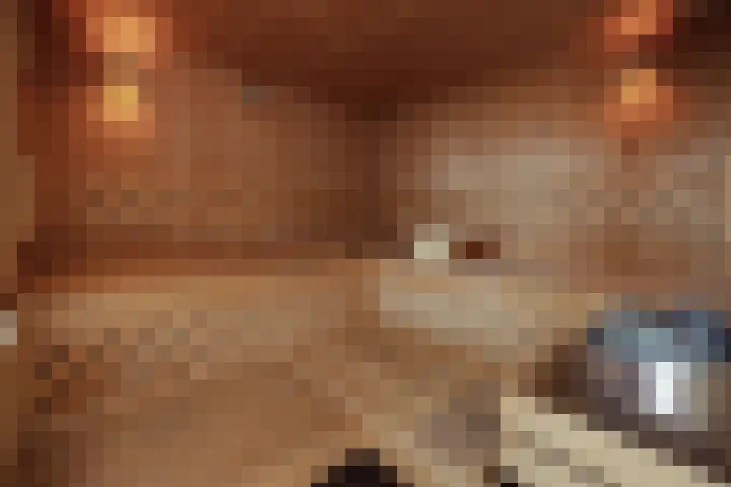 Vossenweg 7 Liessel thumbnail 16