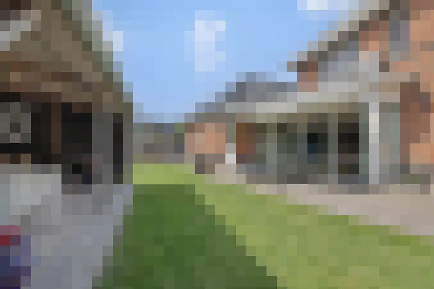 Vossenweg 7 Liessel thumbnail 35