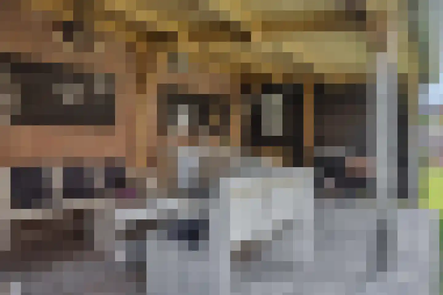 Vossenweg 7 Liessel thumbnail 38