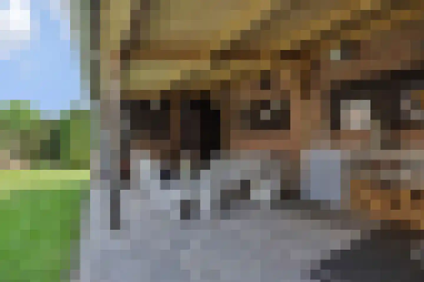 Vossenweg 7 Liessel thumbnail 39