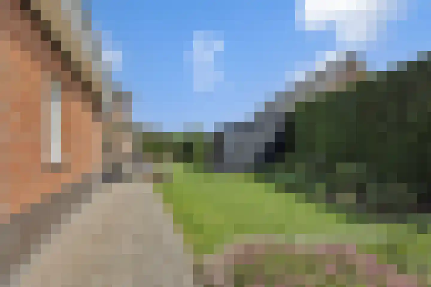 Vossenweg 7 Liessel thumbnail 41