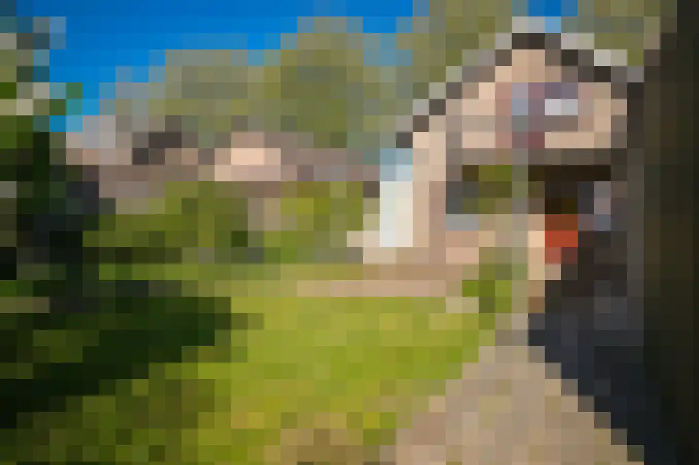 Vossenweide 4 Heerewaarden thumbnail 29