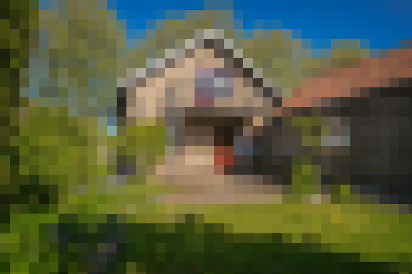 Vossenweide 4 Heerewaarden thumbnail 30