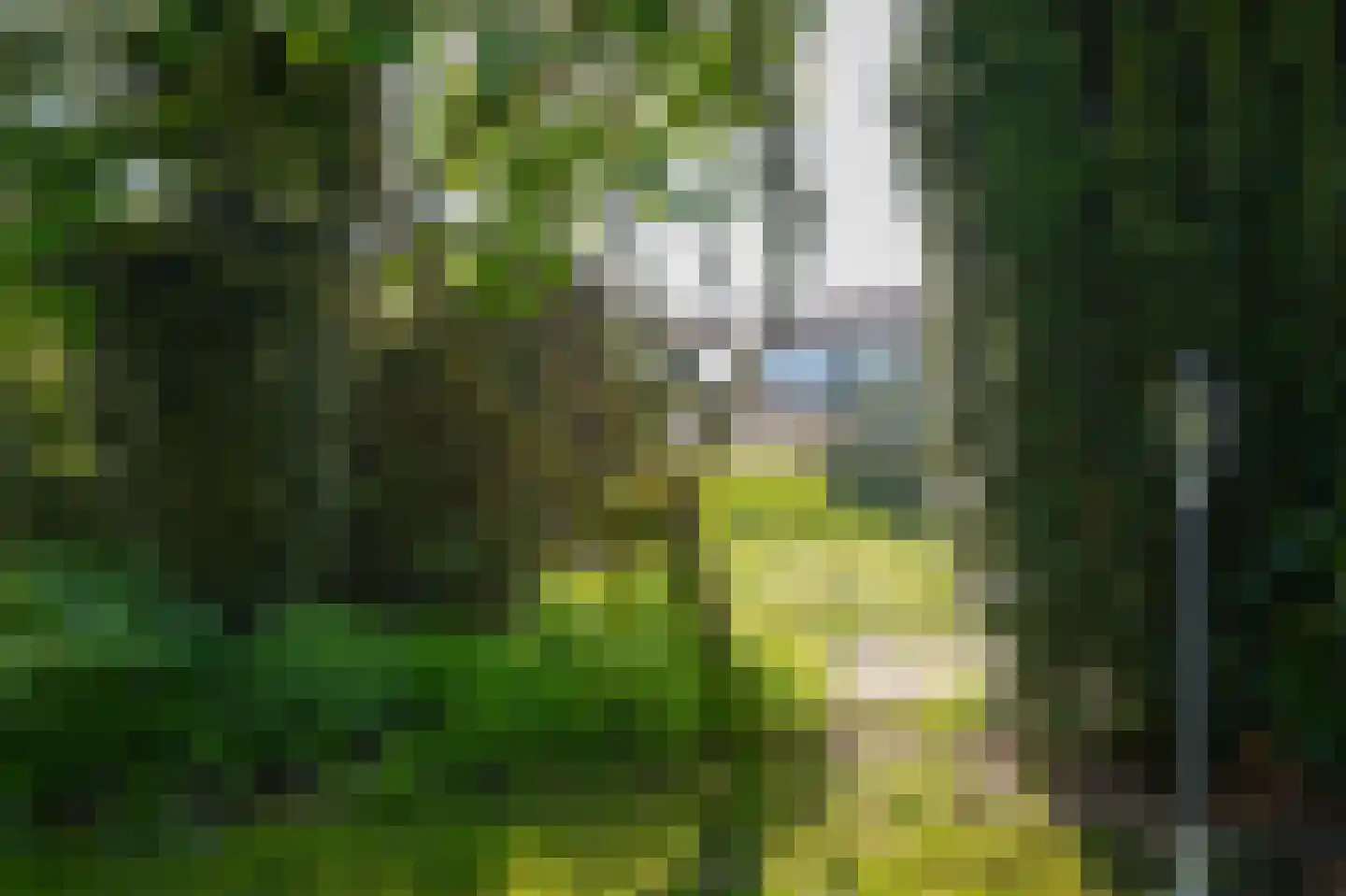 Vossenweide 4 Heerewaarden thumbnail 32