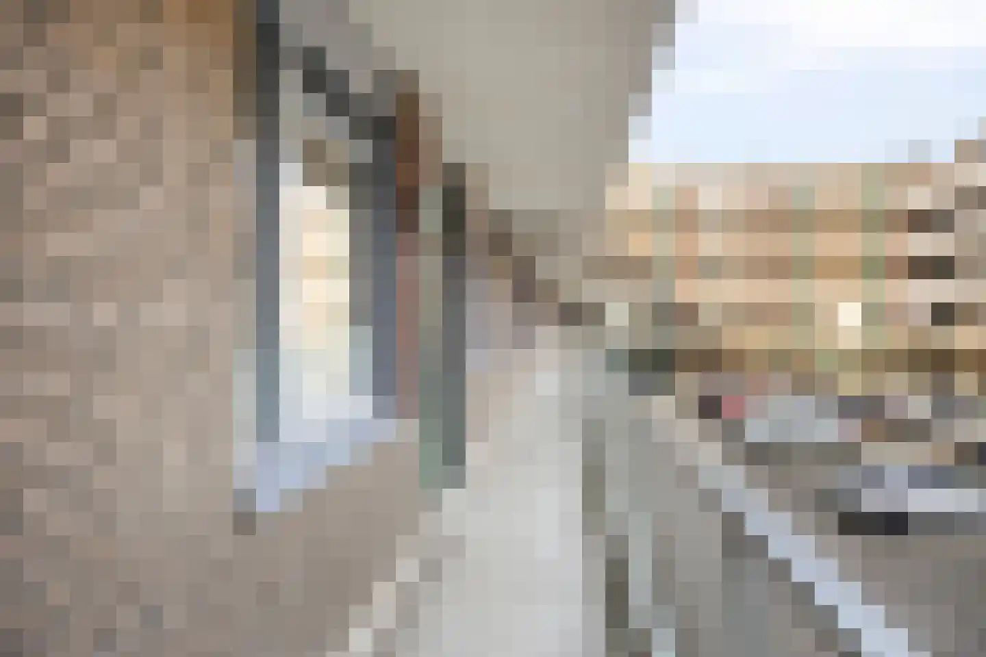Vossenzoom 2 Pijnacker thumbnail 10