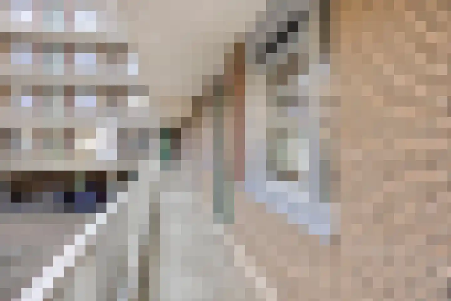 Vossenzoom 2 Pijnacker thumbnail 11