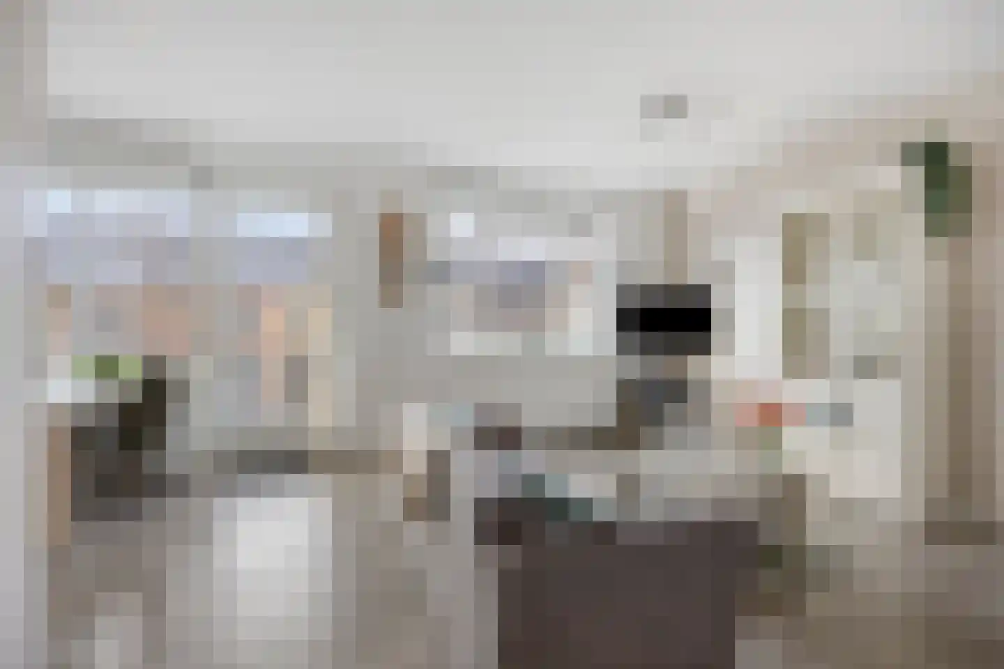 Vossenzoom 2 Pijnacker thumbnail 13