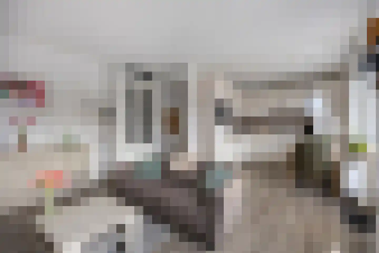 Vossenzoom 2 Pijnacker thumbnail 15