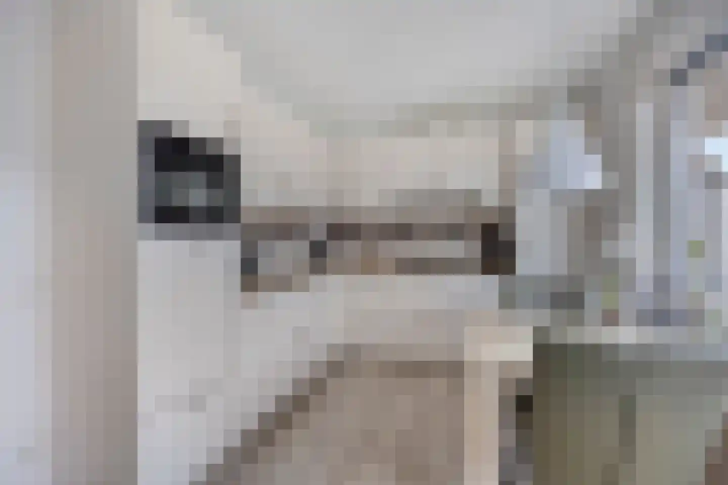 Vossenzoom 2 Pijnacker thumbnail 16