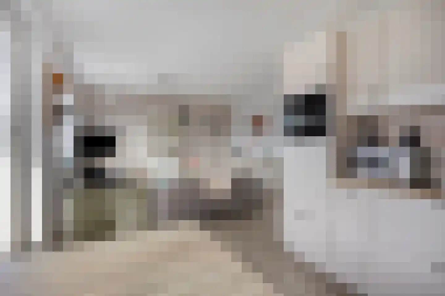 Vossenzoom 2 Pijnacker thumbnail 17