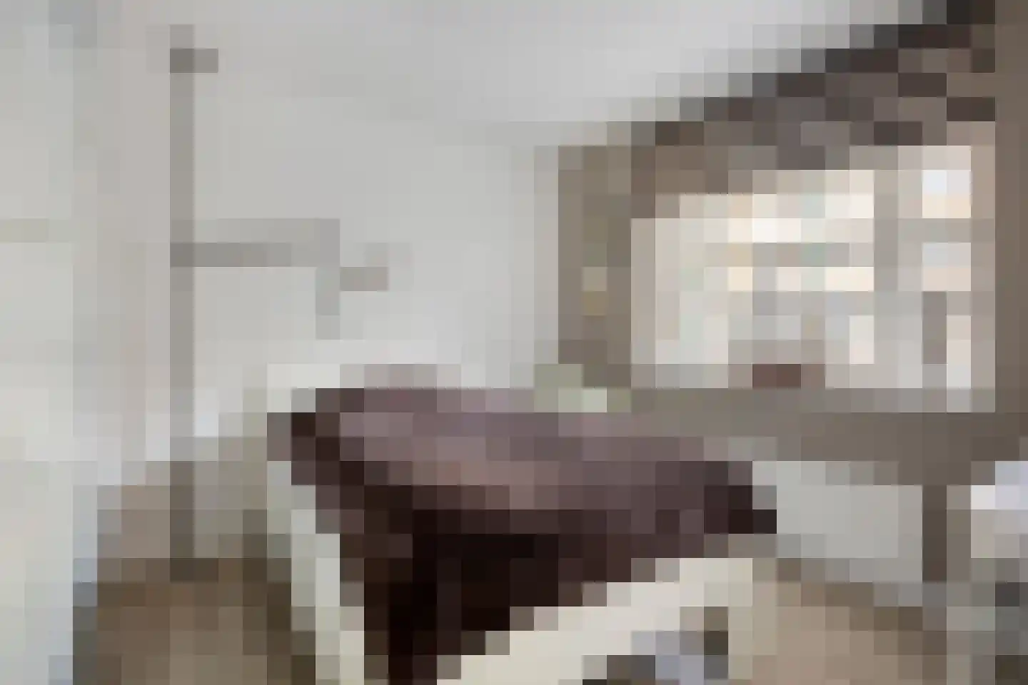 Vossenzoom 2 Pijnacker thumbnail 20