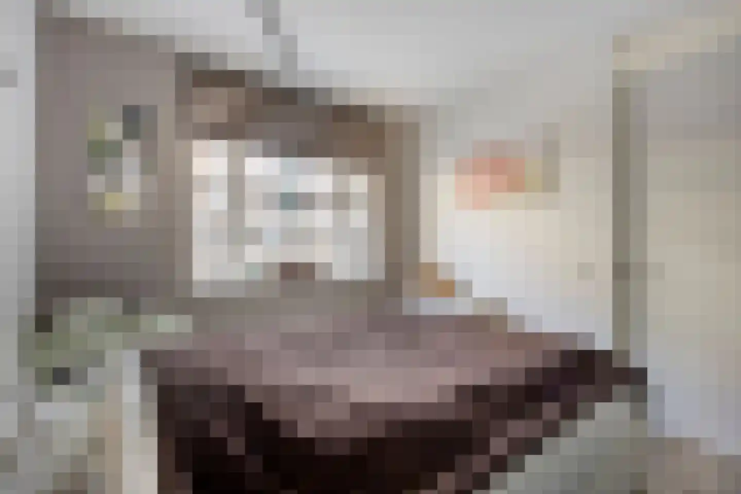 Vossenzoom 2 Pijnacker thumbnail 21