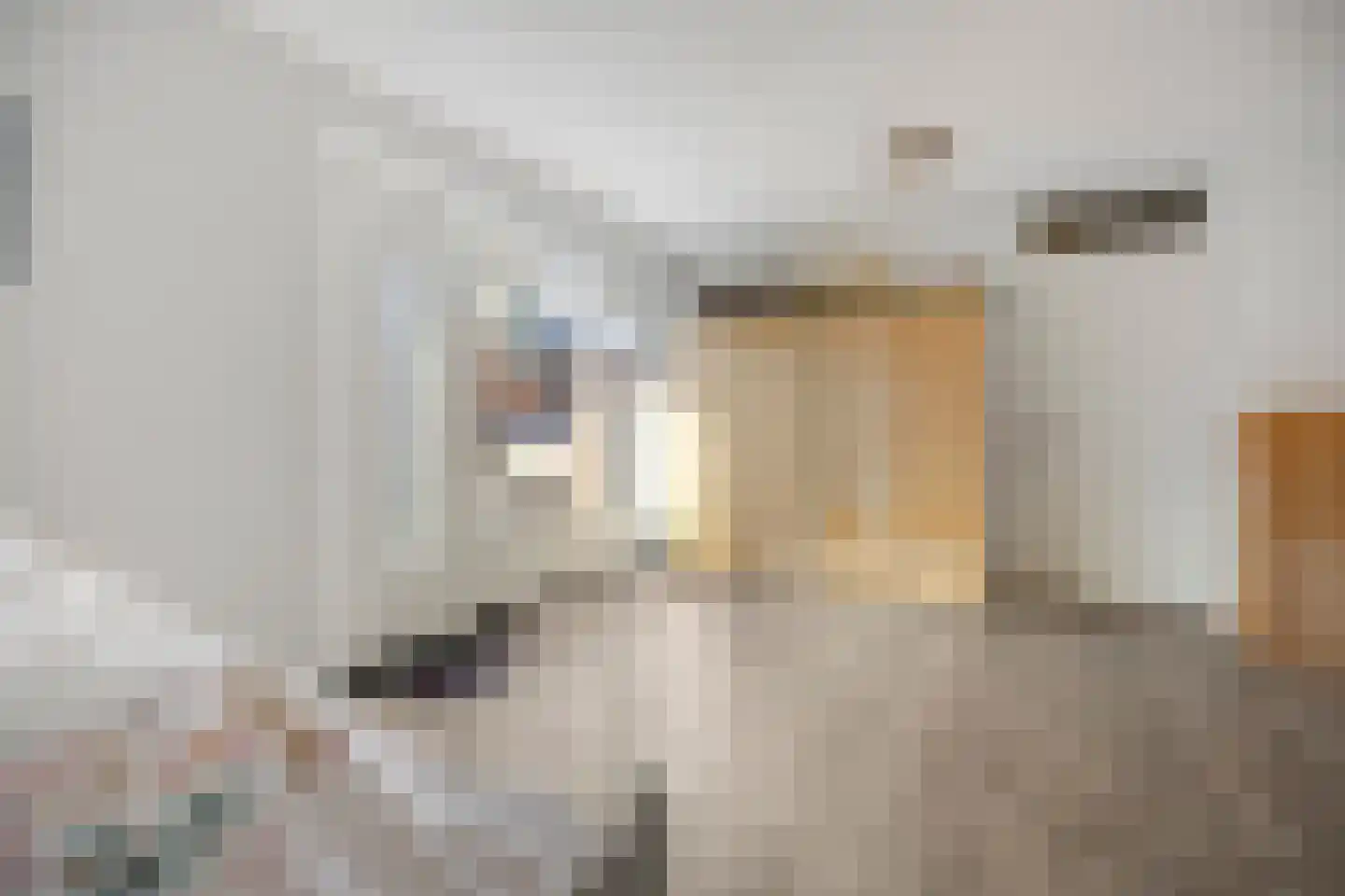 Vossenzoom 2 Pijnacker thumbnail 26