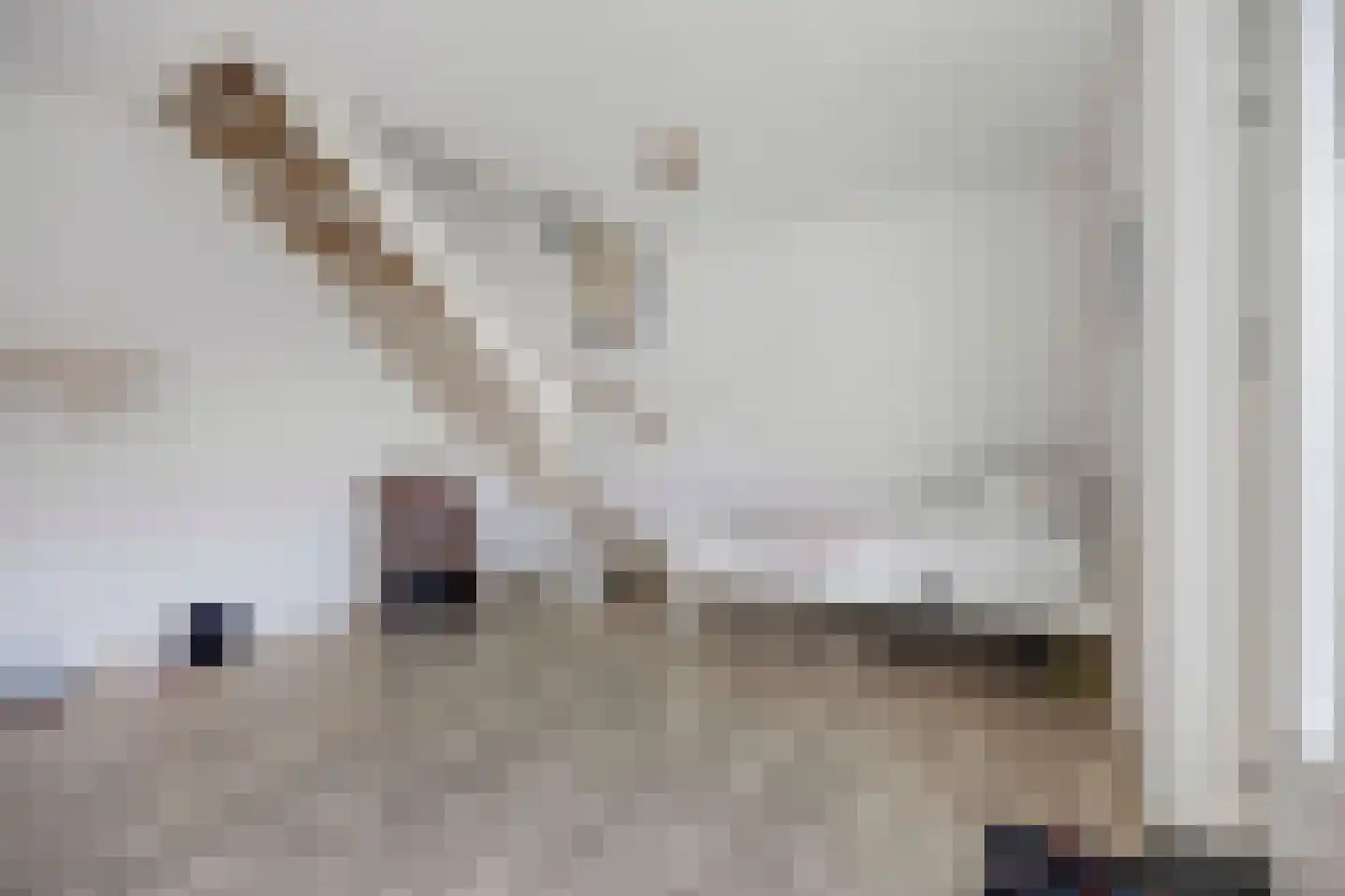 Vossenzoom 2 Pijnacker thumbnail 28