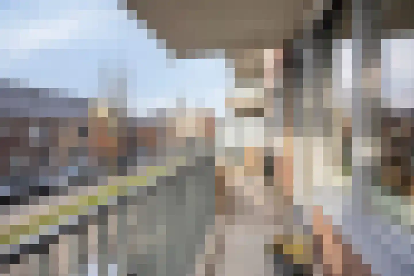 Vossenzoom 2 Pijnacker thumbnail 29