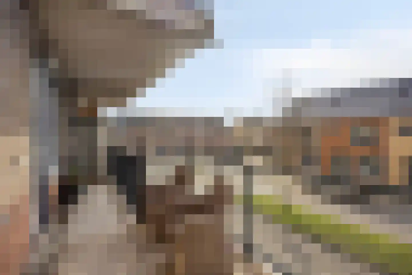 Vossenzoom 2 Pijnacker thumbnail 30
