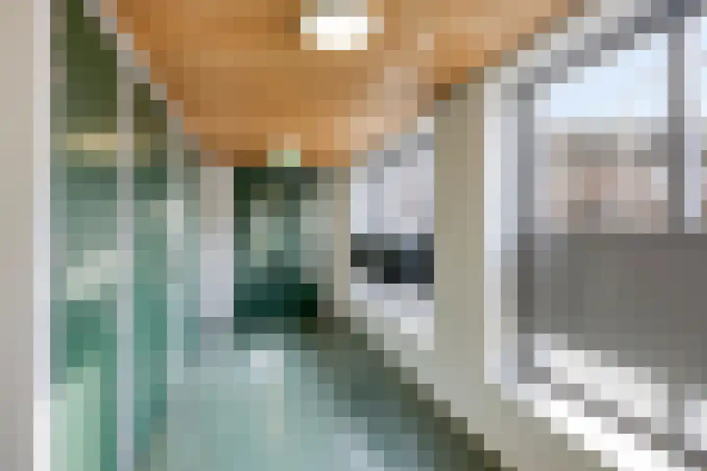 Vossenzoom 2 Pijnacker thumbnail 7