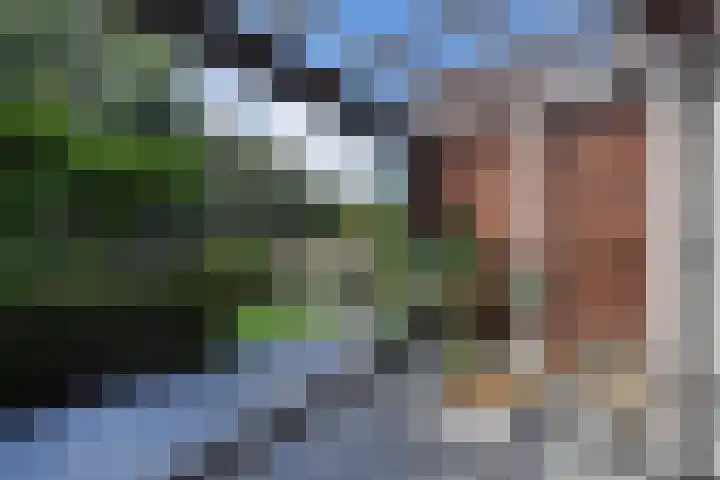 Vossenzoom 245 Pijnacker thumbnail 11