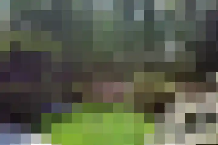Vossenzoom 245 Pijnacker thumbnail 12