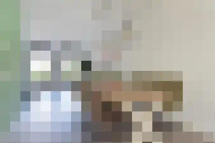 Vossenzoom 245 Pijnacker thumbnail 13