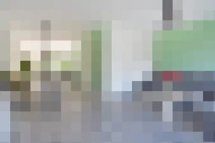 Vossenzoom 245 Pijnacker thumbnail 14