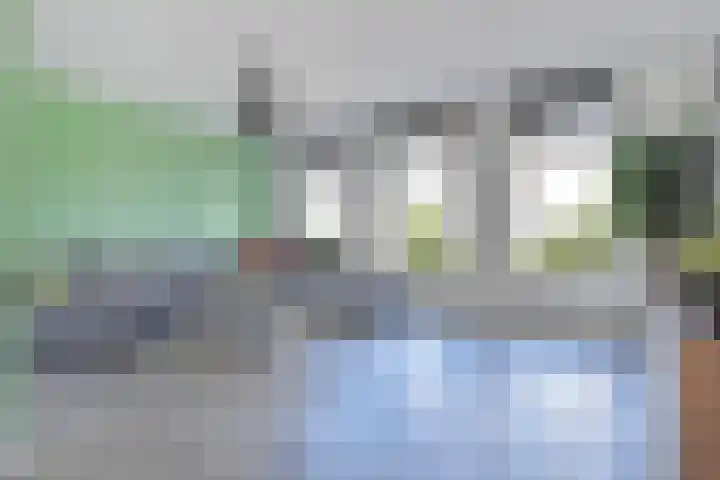 Vossenzoom 245 Pijnacker thumbnail 15