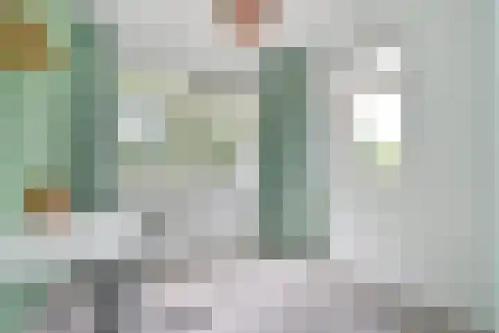 Vossenzoom 245 Pijnacker thumbnail 18