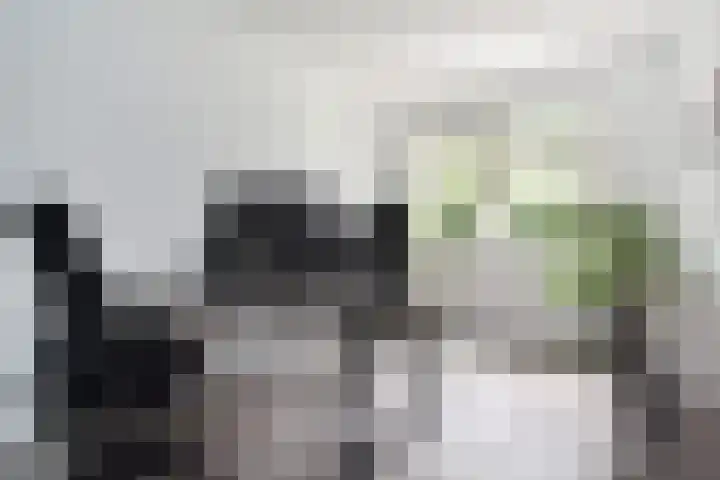 Vossenzoom 245 Pijnacker thumbnail 19