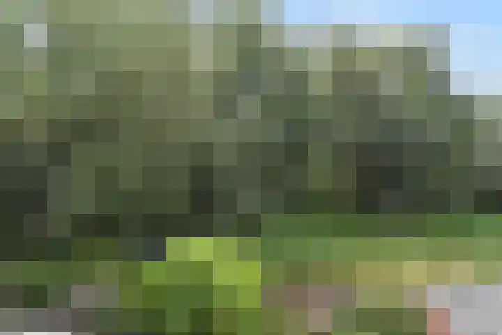 Vossenzoom 245 Pijnacker thumbnail 20
