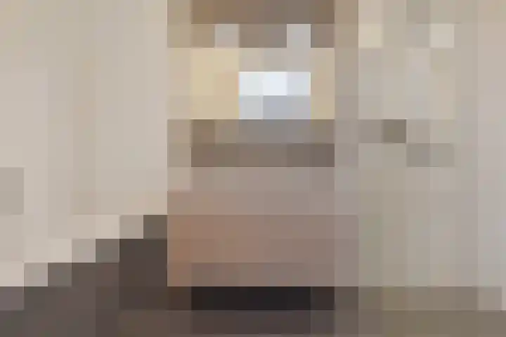 Vossenzoom 245 Pijnacker thumbnail 21