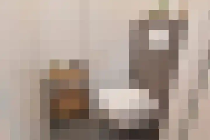 Vossenzoom 245 Pijnacker thumbnail 22