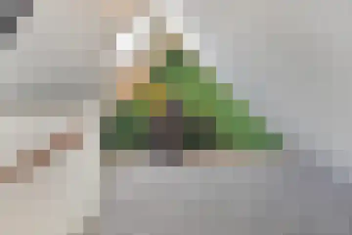 Vossenzoom 245 Pijnacker thumbnail 27