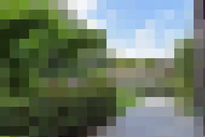 Vossenzoom 245 Pijnacker thumbnail 4