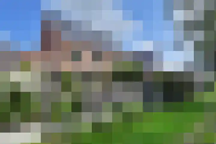 Vossenzoom 245 Pijnacker thumbnail 5