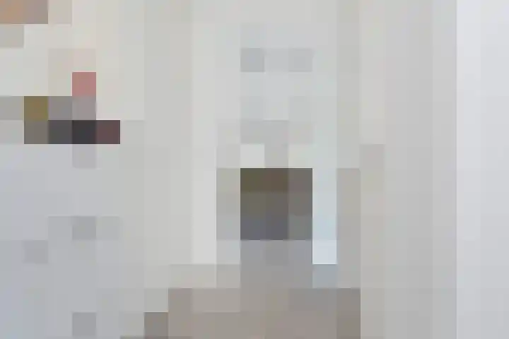 Vossenzoom 245 Pijnacker thumbnail 6