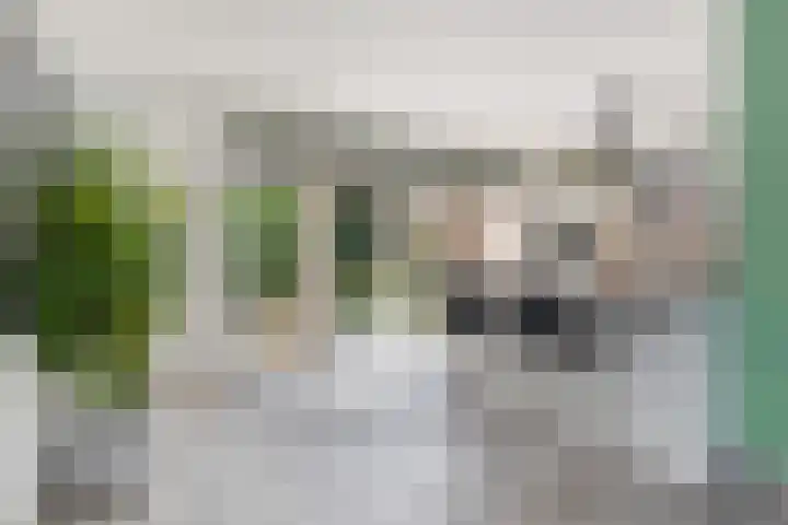 Vossenzoom 245 Pijnacker thumbnail 7