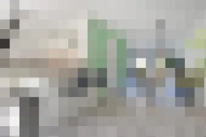 Vossenzoom 245 Pijnacker thumbnail 8