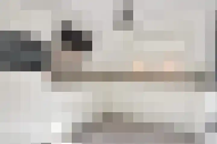 Vossenzoom 245 Pijnacker thumbnail 9