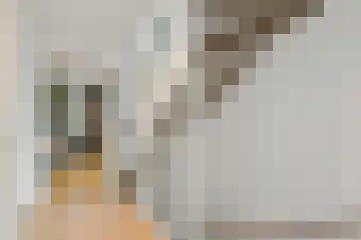 Vossenzoom 246 Pijnacker thumbnail 19